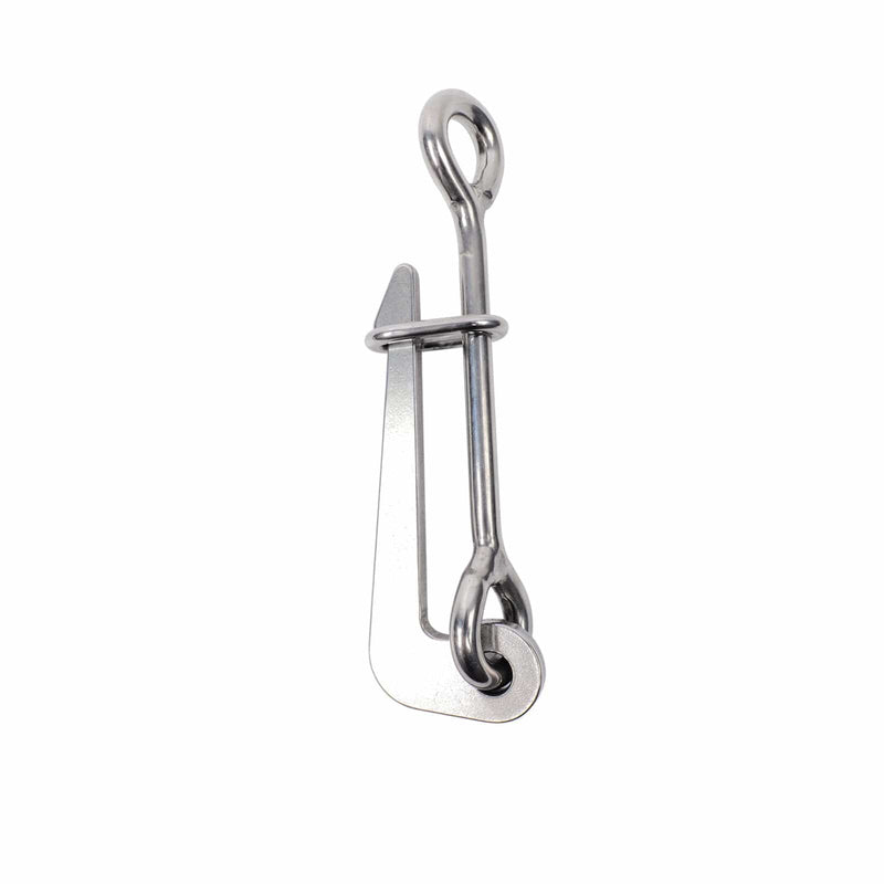 Quick disconnect hook