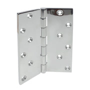 mirror polished boat hinge