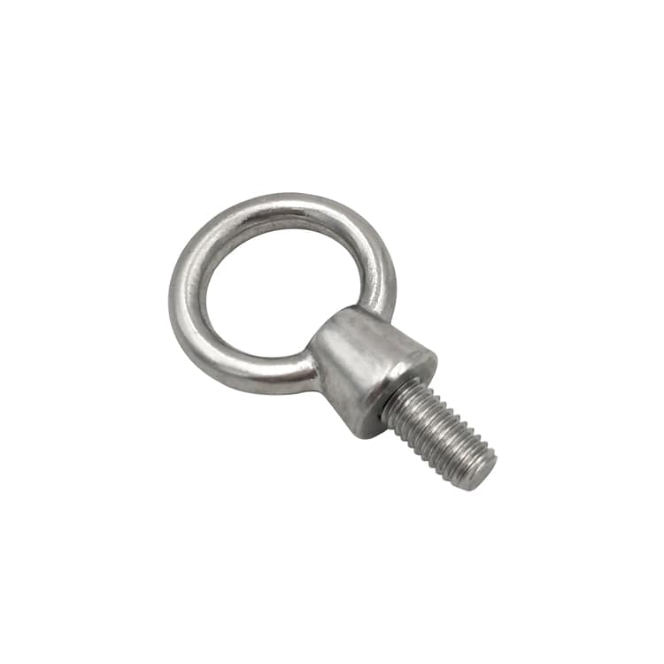 316 Stainless Steel Eye Screw