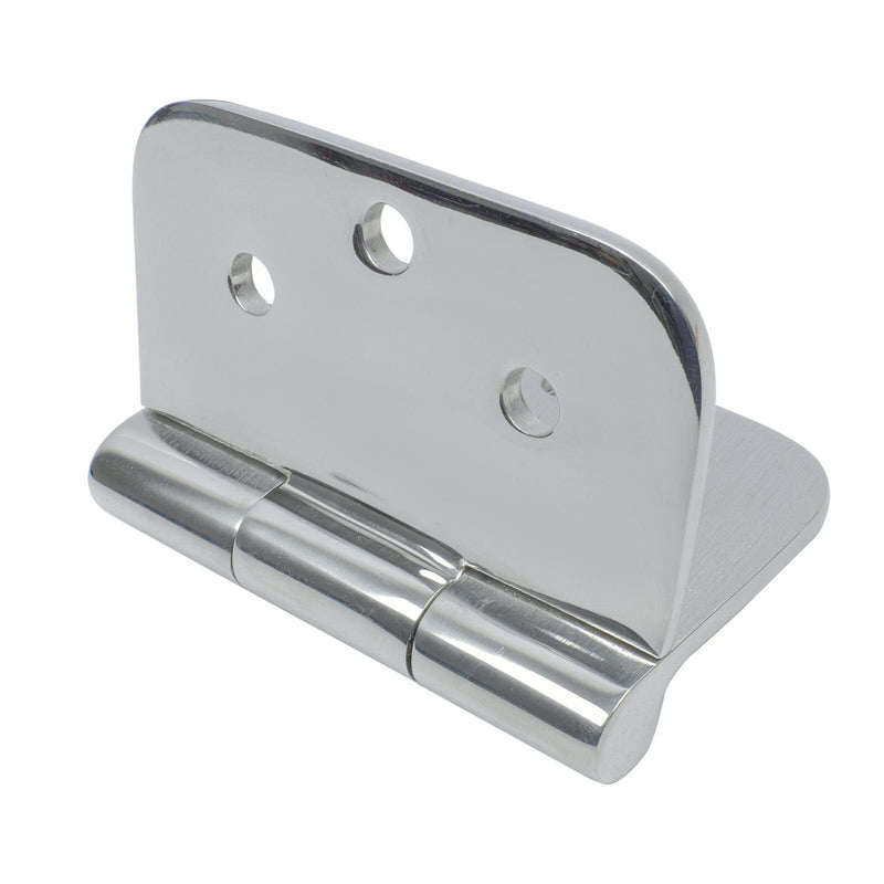 polished stainless hinge