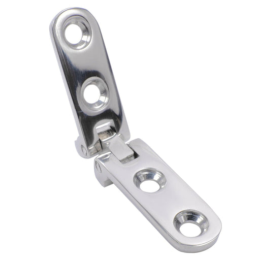 small marine hinge